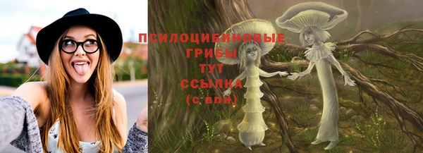 тгк Зеленодольск